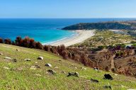 KI Mayoral Relief and Recovery Bushfire Fund